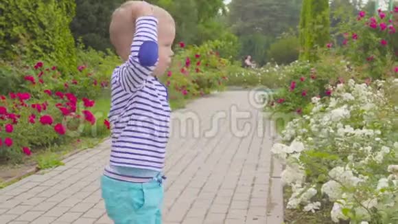 小男孩在玫瑰丛附近玩玫瑰4k视频的预览图