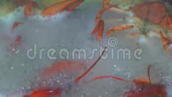 河煮小龙虾是啤酒的好小吃服务员在桌上放了一盘白开水的红河癌一盘视频的预览图