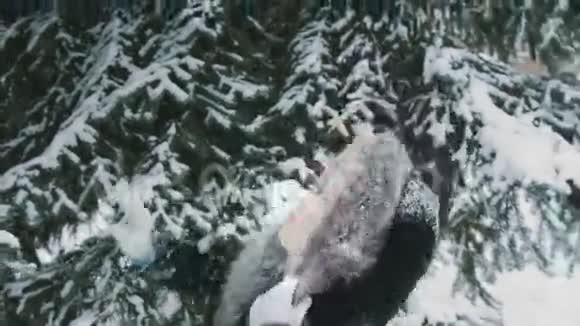 女人摆脱雪5视频的预览图