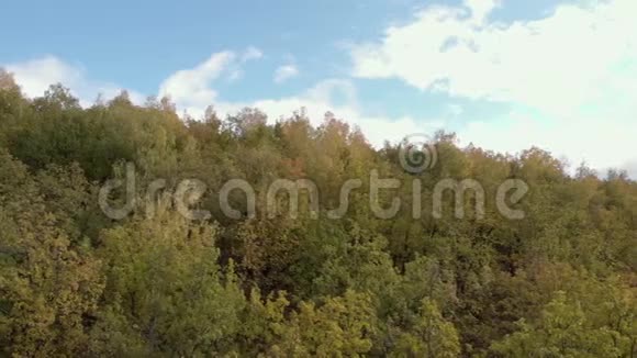 在森林里旋转的秋峰视频的预览图