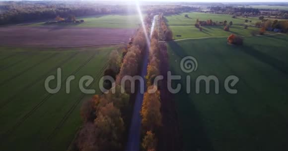 从欧洲东部的小城市俯瞰黄桦林下的宁静的秋晚景色视频的预览图