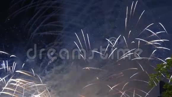 俄罗斯莫斯科电视塔上空的烟火视频的预览图