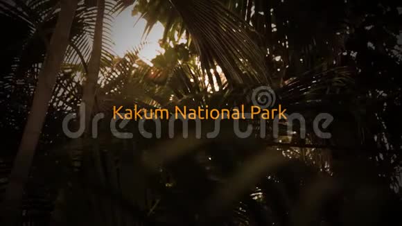 著名的雨林排版系列卡库姆国家公园视频的预览图