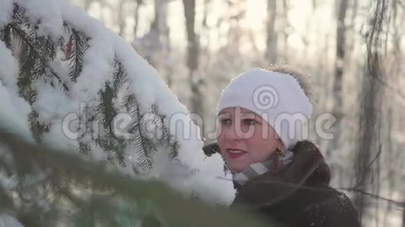 女孩在冬季公园散步把雪从树上重置冬季户外娱乐活动视频的预览图