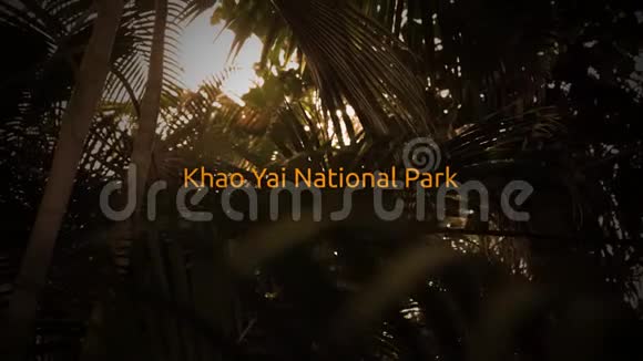 著名的雨林排版系列高耀国家公园视频的预览图
