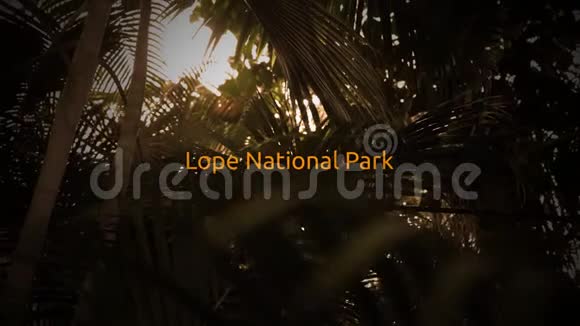 著名的雨林排版系列洛普国家公园视频的预览图