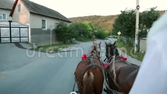 一辆马车里有两匹马和新郎的眼睛视频的预览图