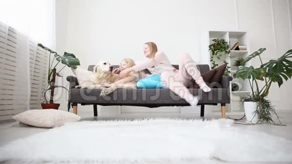 家庭宠物的生活妈妈和女儿抚摸并拥抱客厅沙发上的一只金毛猎犬视频的预览图