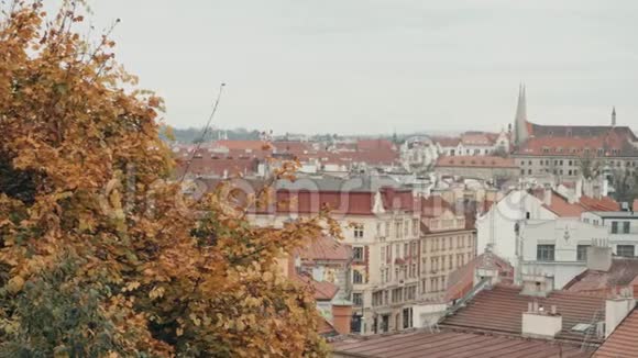 捷克布拉格市红色瓷砖屋顶的顶部视图典型的布拉格之家视频的预览图