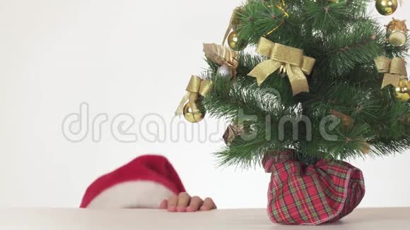 戴着圣诞老人帽子的漂亮淘气的少女在白色背景下偷偷地把礼物放在新年树下视频的预览图