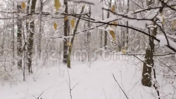 年轻的爸爸在冬天把他的小儿子卷在雪橇上视频的预览图