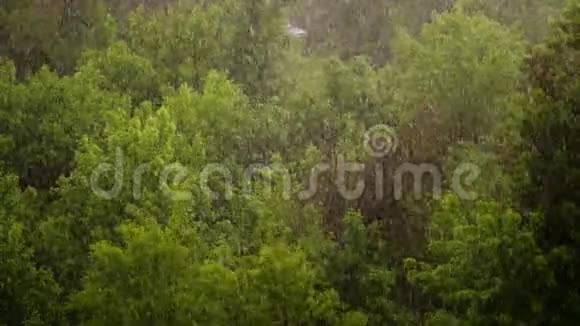从上面看城市公园春天的日子城市里的雷雨大风和雨一场冰雹倾盆大雨把重点放在大视频的预览图