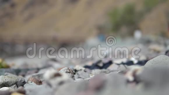 近距离拍摄了一堆奇异的浅绿色椰子果扔在岩石上年轻的椰子在岩石上视频的预览图
