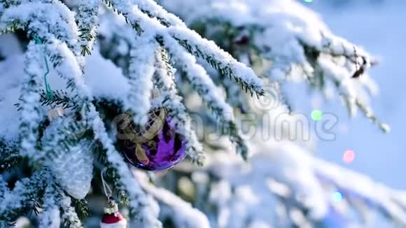 在一个真正的冬天戴着手套的贴身雌性手从一棵白雪覆盖的新年树树枝上摘下玩具视频的预览图