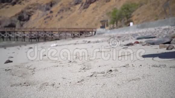 海滩沙滩上的一束浅绿色椰子果地面上的未成熟椰子靠近视频的预览图