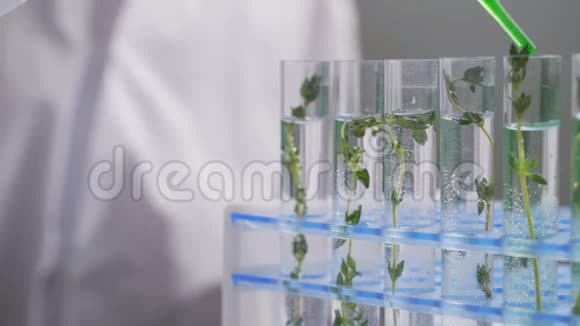 科学家在实验室的试管中与植物合作视频的预览图