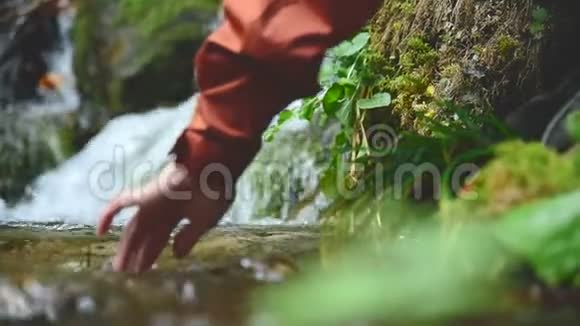 一个戴着帽子的漂亮女孩旅行者坐在针叶林中的一条山涧的岸边双手亮视频的预览图