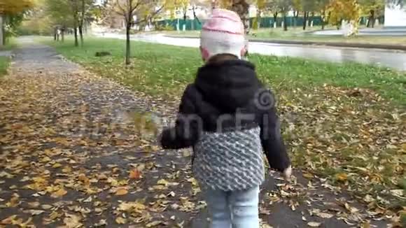 小女孩正在秋天公园散步视频的预览图