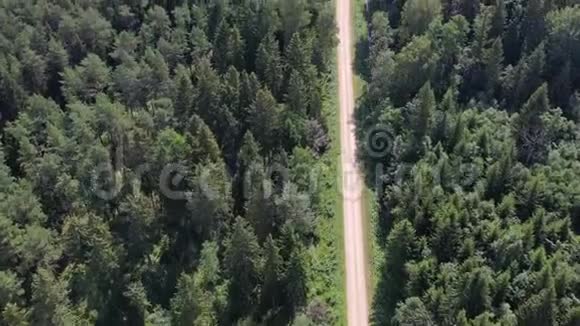 夏季森林和砾石路鸟瞰视频的预览图