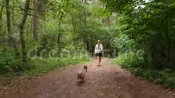 在树林里散步的年轻女子视频的预览图
