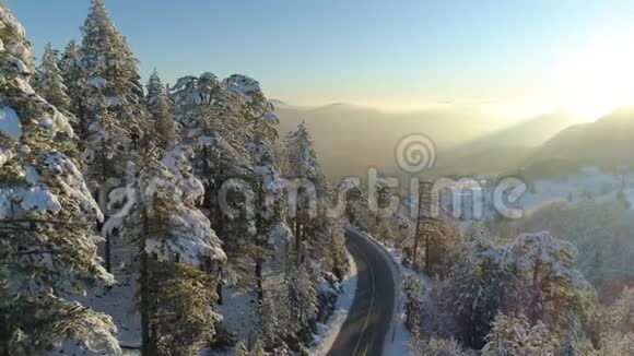 日出时飞越雪林视频的预览图