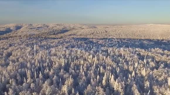 冬季森林从上面视频的预览图