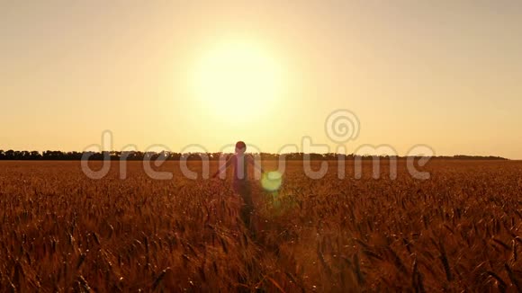 在日落的背景下穿着白色连衣裙的年轻女子穿过麦田慢动作视频的预览图