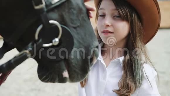 一个快乐的小女孩在这个地区抚摸漂亮的黑马的肖像4K视频的预览图