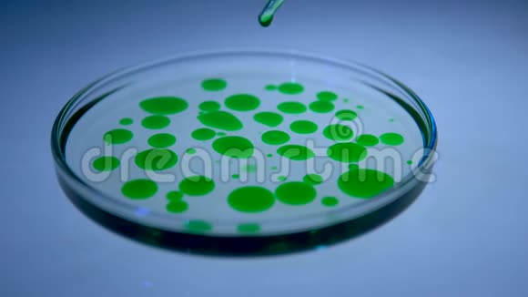 科学家在培养皿中倒入化学液体视频的预览图