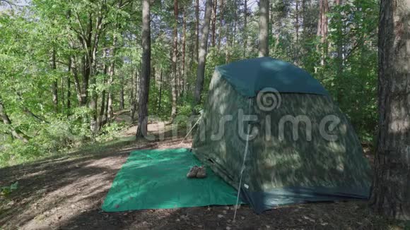 清晨年轻人从森林里的旅游迷彩帐篷里醒来旅游渔民时间长视频的预览图