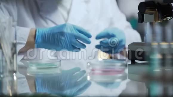 实验室助理在研究前准备和消毒显微镜玻片视频的预览图