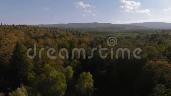 阳光明媚的一天喀尔巴阡山绿松林的空中拍摄视频的预览图