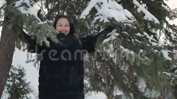 漂亮的姑娘摇着一棵雪杉视频的预览图