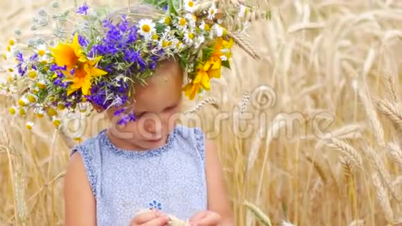 一个花田里的白人女孩农村田野里的孩子一个女孩特写的肖像视频的预览图