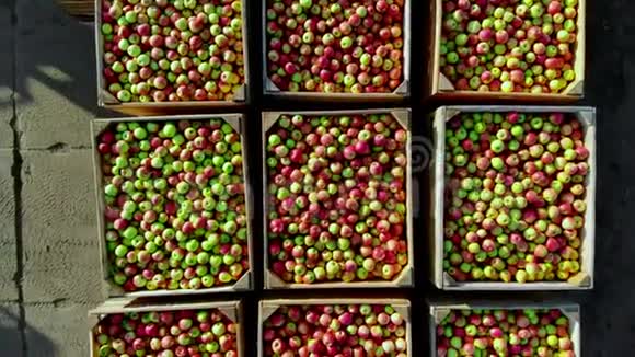 特写航空顶景木制容器盒子装满了成熟的红绿色美味的苹果在此期间视频的预览图