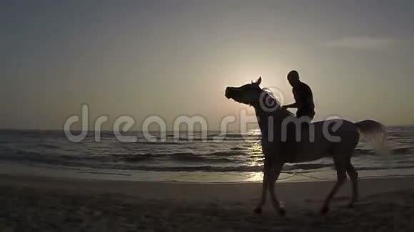 慢动作沿着海滩骑马视频的预览图