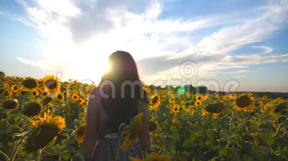 美丽的女孩站在黄色的向日葵田上举手年轻快乐的女人在花丛中举起双臂视频的预览图