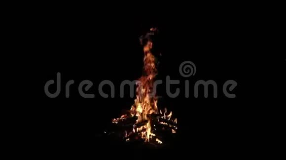 晚上森林里篝火燃烧视频的预览图
