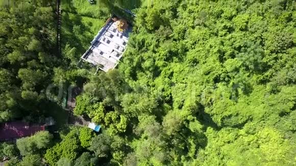 绿林中的鸟瞰佛寺和老墓地视频的预览图