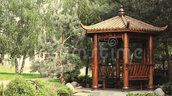 中国植树夏季公园视频的预览图