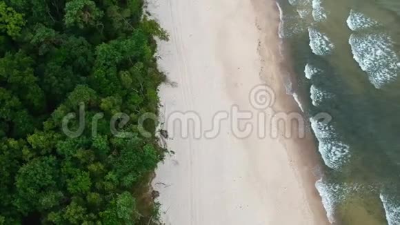 沙滩海浪和森林的空中景色视频的预览图