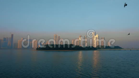 锁定目标海鸟在海湾绿岛上空飞翔地平线上市中心的摩天大楼蓝天和碧水视频的预览图