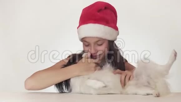 戴着圣诞老人帽子的漂亮少女开心地抱着她的狗在白色背景的股票录像中视频的预览图