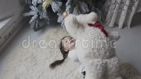 迷人的女孩躺在柔软的白色地毯上和一只大毛绒熊玩寒假圣诞树视频的预览图