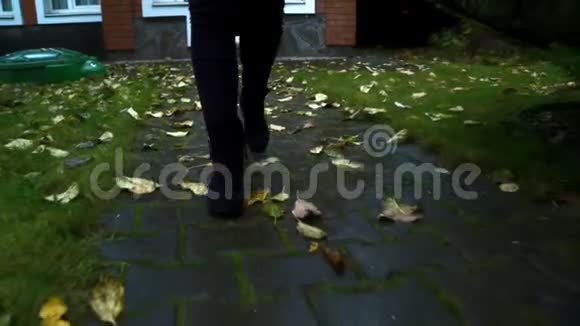 秋天的一天穿着黑色靴子的女人的双腿走在铺满落叶的小径上视频的预览图