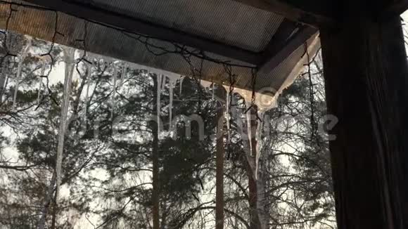 乡村的屋顶冬季凉亭上冰柱融化雪冰和花环春天的概念视频的预览图