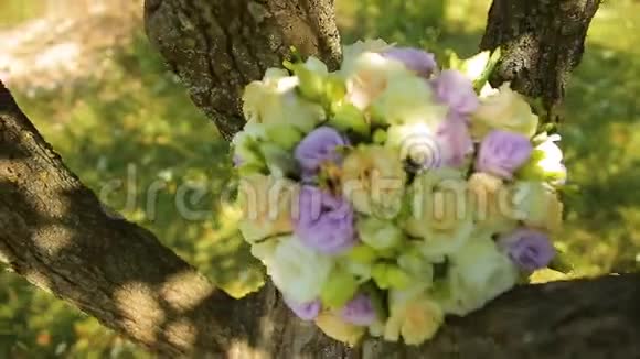 婚礼用彩带绑在树下的秋千上视频的预览图