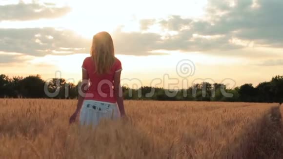 日落时分一位年轻女子在田野里散步呼吸着空气抚摸着小穗的手视频的预览图