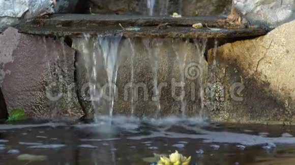 女人手摸着一个人工池塘里的石头流下来的水视频的预览图
