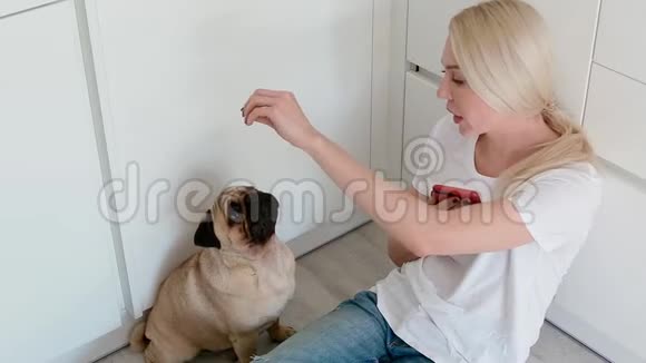 女人在厨房里用智能手机抚摸狗视频的预览图